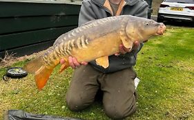 Springs Southview Skegness